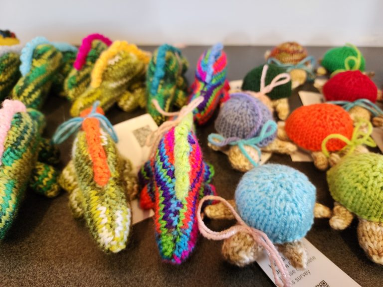 572464615_1243766614448418_1582770381446414911_n