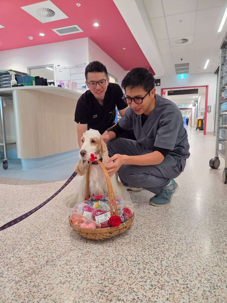 632836740_1329173889241023_7200443073557530494_n