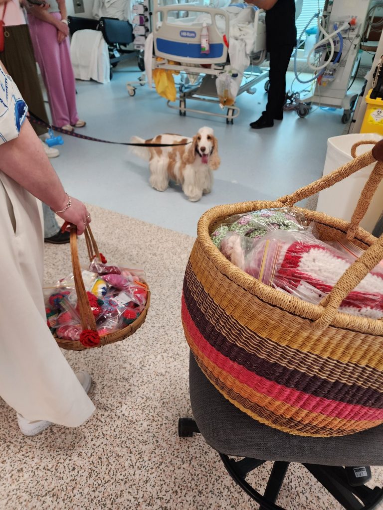 633503100_1329173865907692_2718887009565065003_n