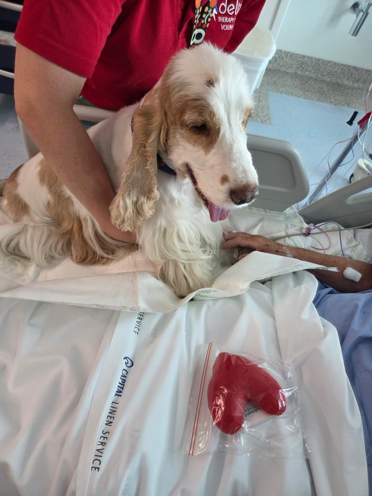 634007912_1329174162574329_8512953872400804530_n